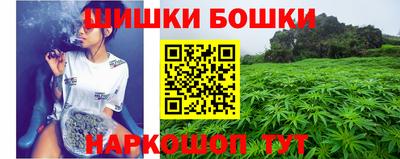 ГАЛЛЮЦИНОГЕННЫЕ ГРИБЫ Беслан