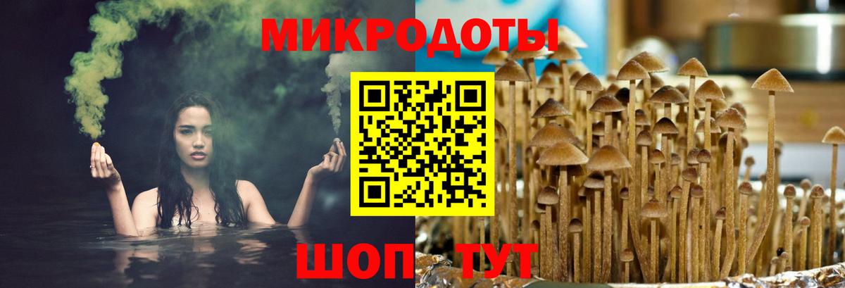 Галлюциногенные грибы Psilocybine cubensis  Вход с VPN  Избербаш  Псилоцибиновые грибы Magic Shrooms 